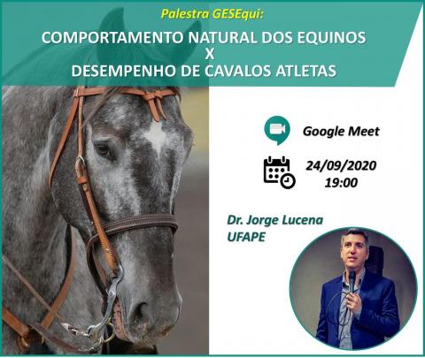 Palestra do professor Jorge Eduardo Cavalcante Lucena no grupo de estudos em equideocultura da UFV: Comportamento natural dos equinos x desempenho de cavalos atletas